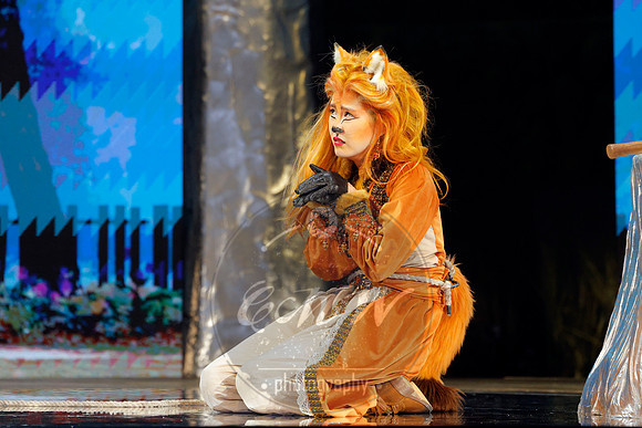 Des Moines Metro Opera, The Cunning Little Vixen