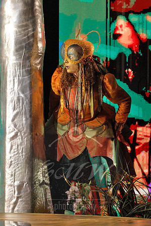 Des Moines Metro Opera, The Cunning Little Vixen