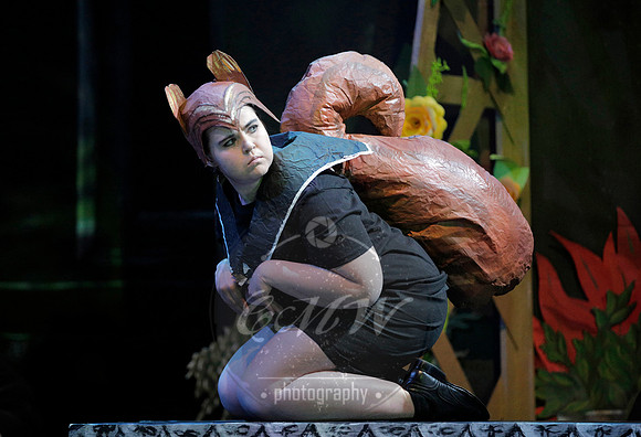 UMKC Opera, L'enfant et les Sortilèges & La Voix Humaine