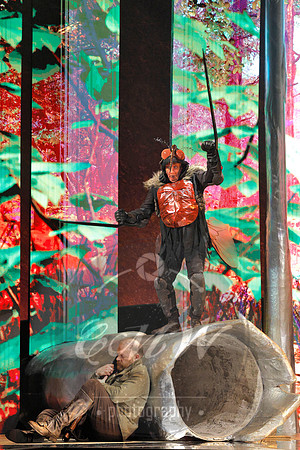 Des Moines Metro Opera, The Cunning Little Vixen
