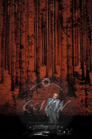 Bard Summerscape, The Distant Sound, Der ferne Klang