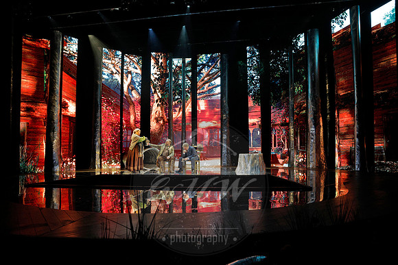 Des Moines Metro Opera, The Cunning Little Vixen