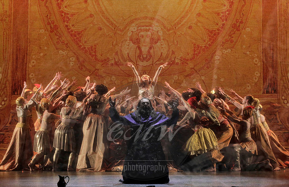 Minnesota Opera, Thais