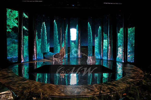 Des Moines Metro Opera, The Cunning Little Vixen