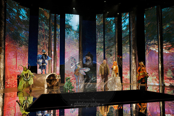 Des Moines Metro Opera, The Cunning Little Vixen