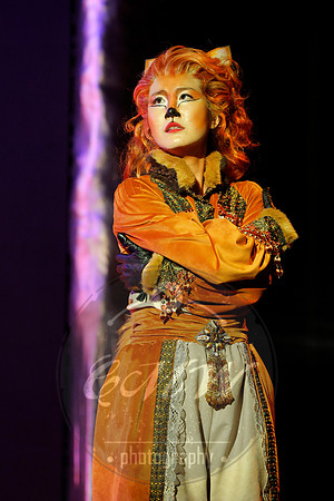 Des Moines Metro Opera, The Cunning Little Vixen