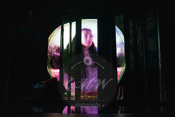 Des Moines Metro Opera, The Cunning Little Vixen