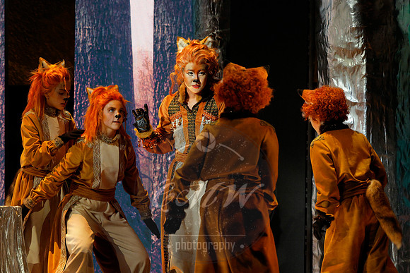 Des Moines Metro Opera, The Cunning Little Vixen