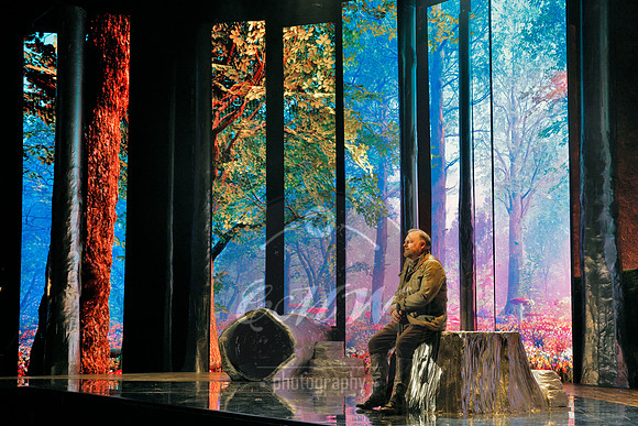 Des Moines Metro Opera, The Cunning Little Vixen