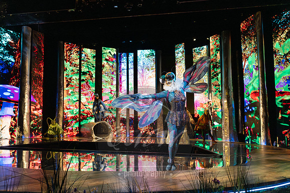 Des Moines Metro Opera, The Cunning Little Vixen