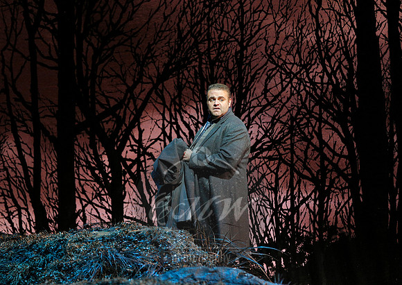 Metropolitan Opera Lucia