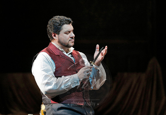 Metropolitan Opera Lucia