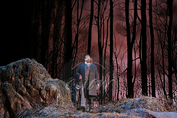 Metropolitan Opera Lucia
