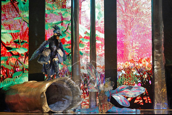 Des Moines Metro Opera, The Cunning Little Vixen