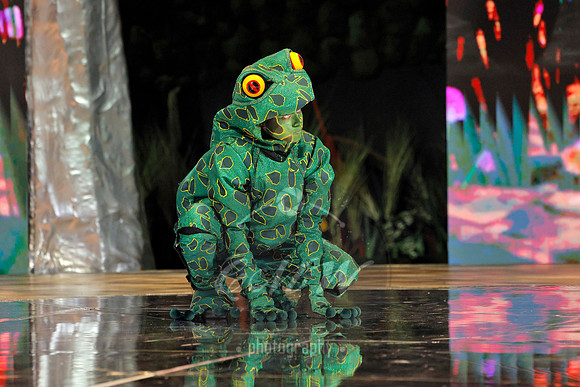 Des Moines Metro Opera, The Cunning Little Vixen
