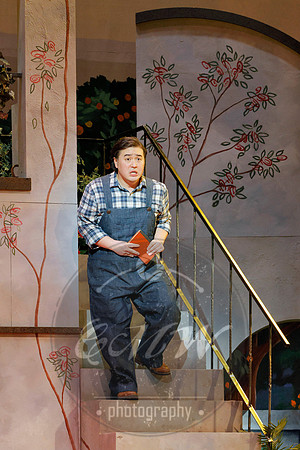 Minnesota Opera, Elixir of Love