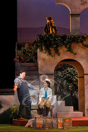 Minnesota Opera, Elixir of Love