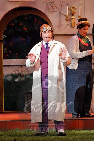 Minnesota Opera, Elixir of Love