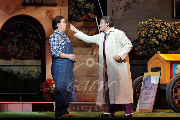 Minnesota Opera, Elixir of Love