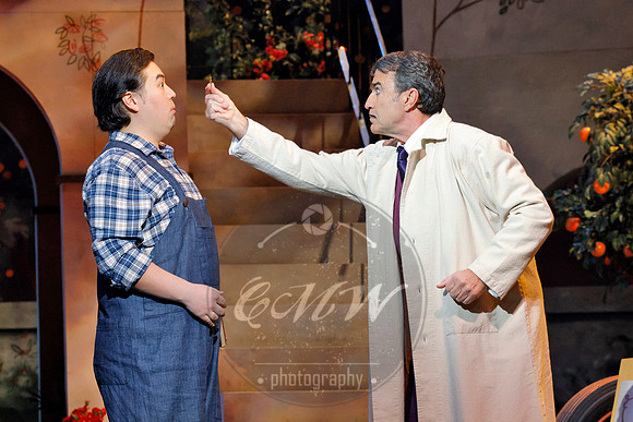 Minnesota Opera, Elixir of Love