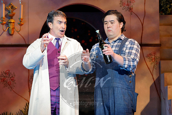 Minnesota Opera, Elixir of Love