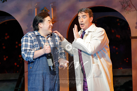 Minnesota Opera, Elixir of Love