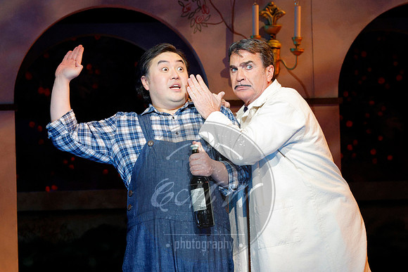 Minnesota Opera, Elixir of Love