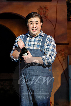 Minnesota Opera, Elixir of Love