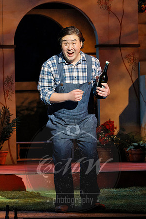 Minnesota Opera, Elixir of Love