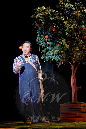 Minnesota Opera, Elixir of Love