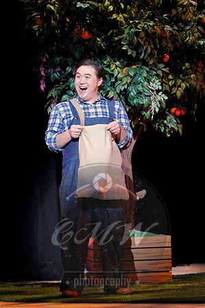 Minnesota Opera, Elixir of Love
