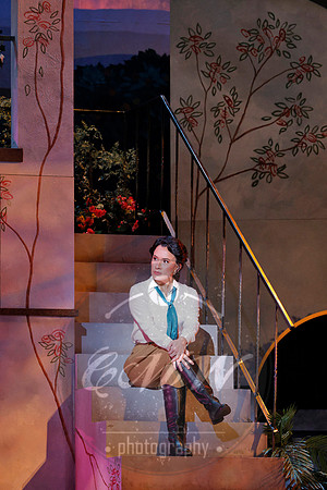 Minnesota Opera, Elixir of Love