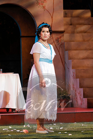 Minnesota Opera, Elixir of Love