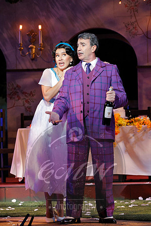 Minnesota Opera, Elixir of Love