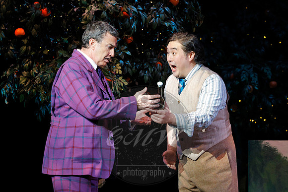 Minnesota Opera, Elixir of Love
