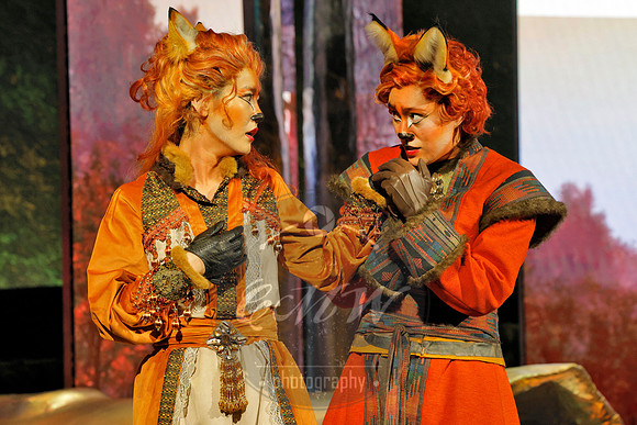 Des Moines Metro Opera, The Cunning Little Vixen