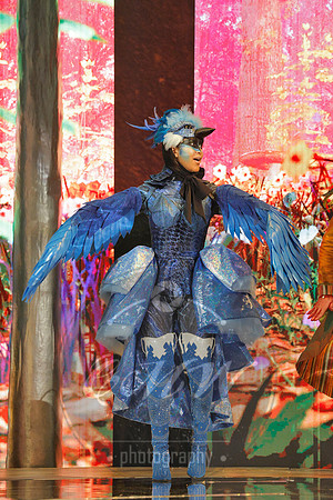 Des Moines Metro Opera, The Cunning Little Vixen