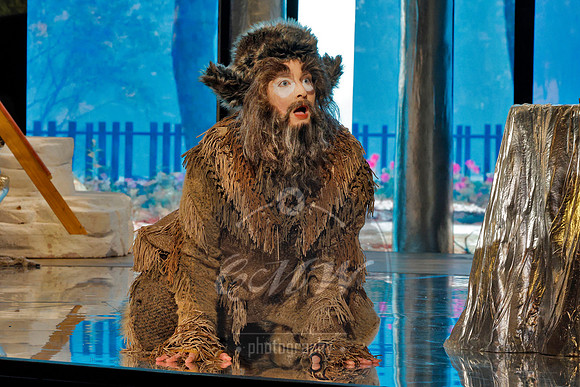 Des Moines Metro Opera, The Cunning Little Vixen