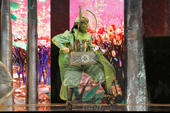Des Moines Metro Opera, The Cunning Little Vixen
