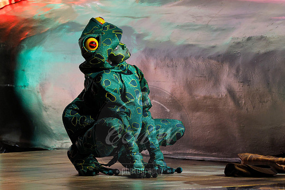 Des Moines Metro Opera, The Cunning Little Vixen