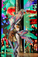 Des Moines Metro Opera, The Cunning Little Vixen