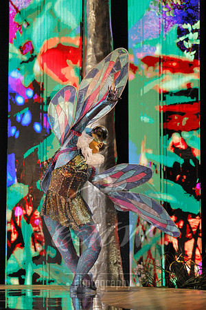 Des Moines Metro Opera, The Cunning Little Vixen