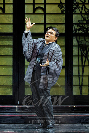 Los Angeles Opera, Madama Butterfly