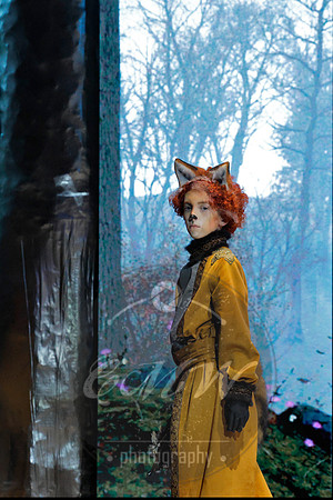 Des Moines Metro Opera, The Cunning Little Vixen
