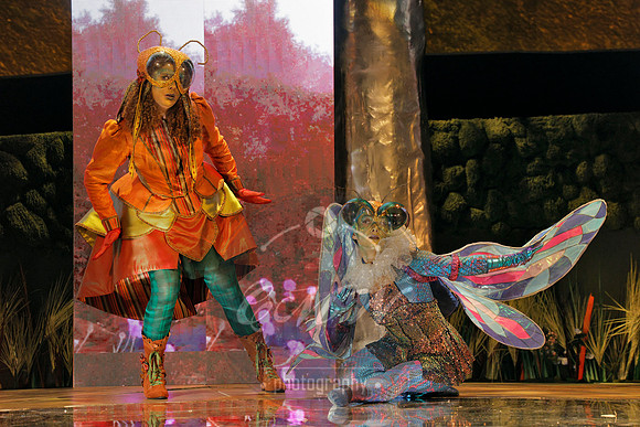 Des Moines Metro Opera, The Cunning Little Vixen