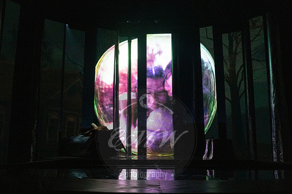Des Moines Metro Opera, The Cunning Little Vixen
