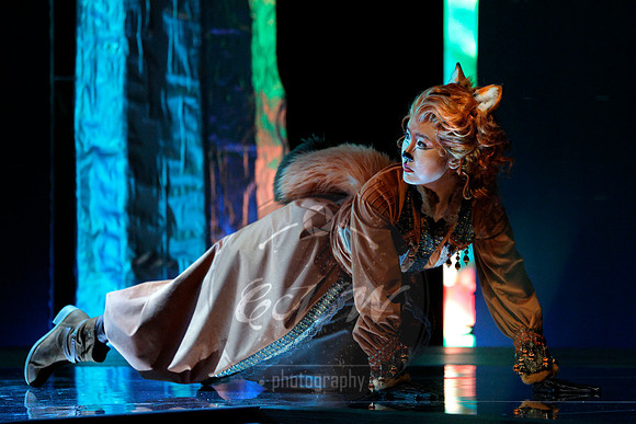 Des Moines Metro Opera, The Cunning Little Vixen