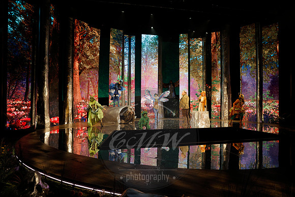 Des Moines Metro Opera, The Cunning Little Vixen