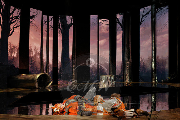 Des Moines Metro Opera, The Cunning Little Vixen