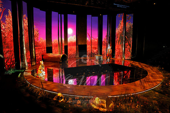 Des Moines Metro Opera, The Cunning Little Vixen